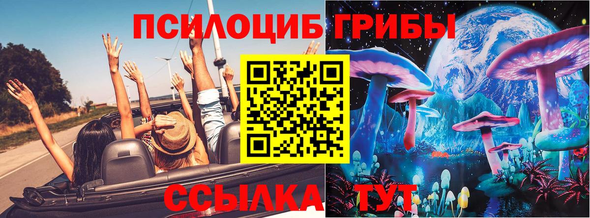 Галлюциногенные грибы Psilocybine cubensis  где можно купить   Новочебоксарск  Псилоцибиновые грибы мицелий  Вход с VPN 