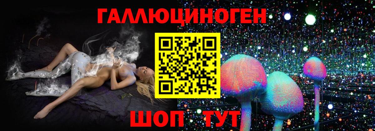 Псилоцибиновые грибы MAGIC MUSHROOMS Новочебоксарск